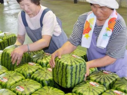 Japonezii au brevetat pepenele cubic